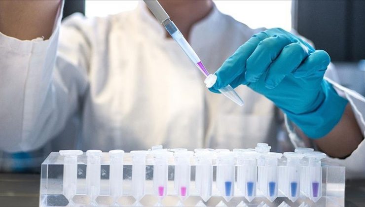 CRISPR gen düzenleme yöntemiyle enfekte hücreler HIV'den kurtarıldı